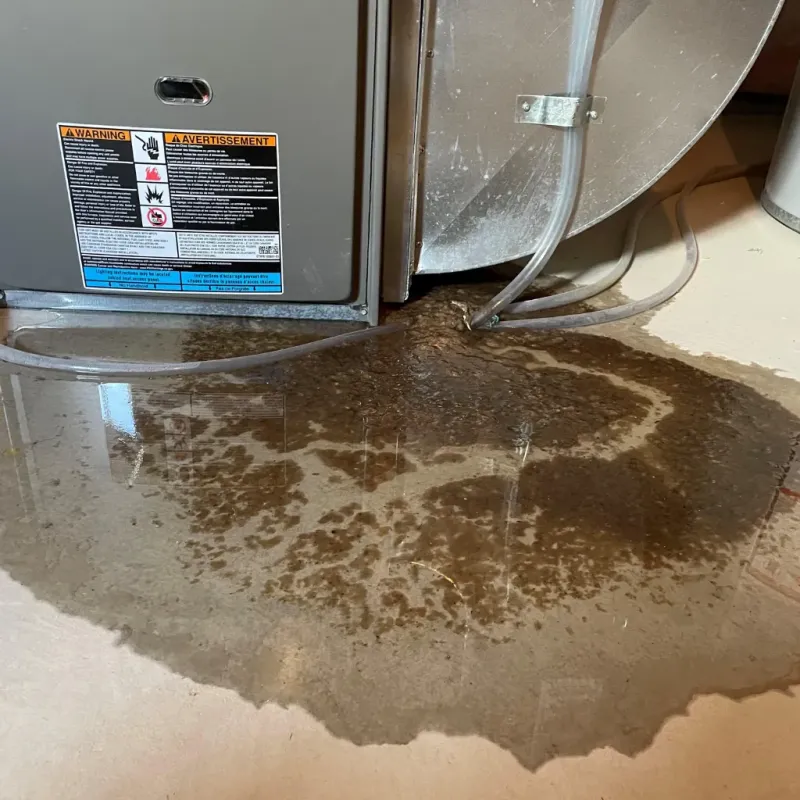 Appliance Leak Cleanup in Mammoth Lakes, CA