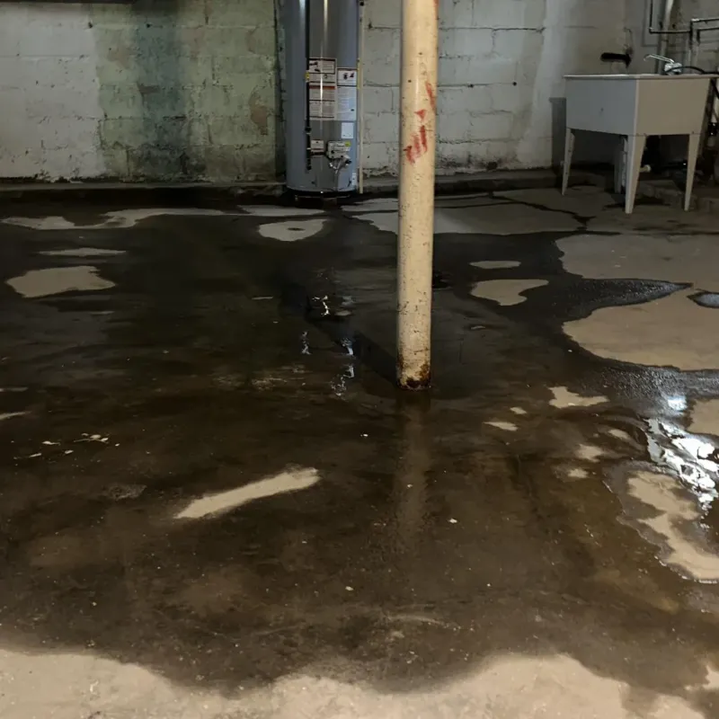 Emergency Water Extraction And Removal in Mammoth Lakes, CA